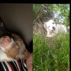 Meet your Posher, Audrey